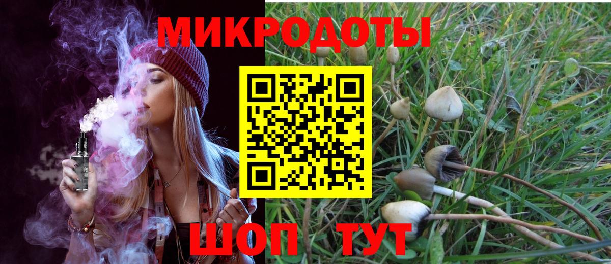 Галлюциногенные грибы Psilocybine cubensis  Вход с VPN  Йошкар-Ола  Псилоцибиновые грибы мицелий 
